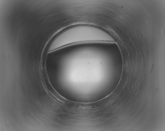 X0000073440484200607281035