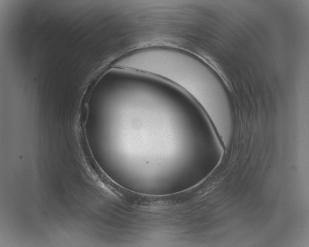 X0000073440485200607281035