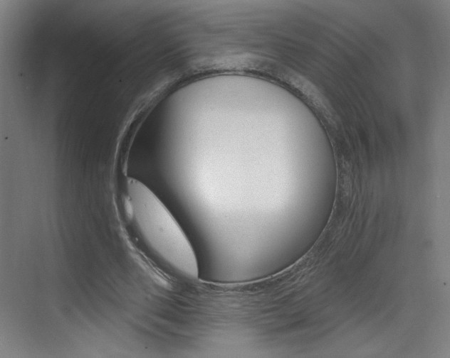 X0000073440486200607281035