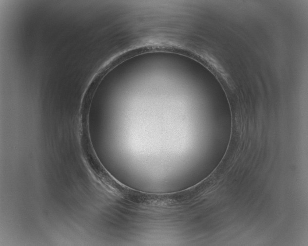 X0000073440488200607281035