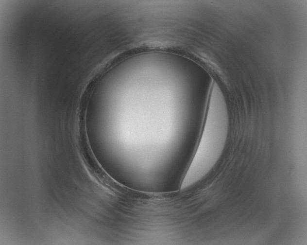 X0000073440492200607281035