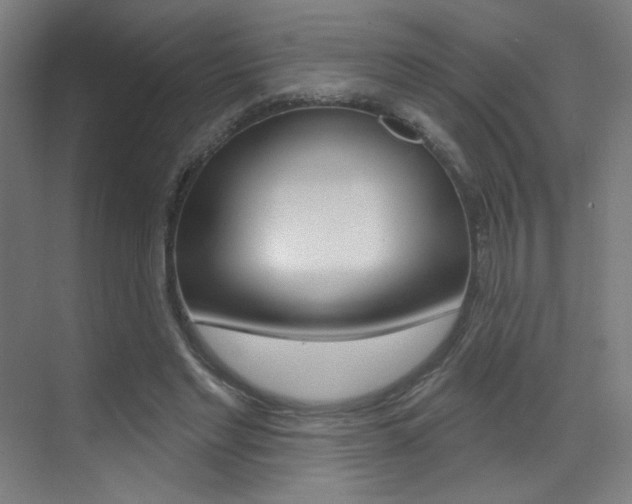 X0000073440493200607281035