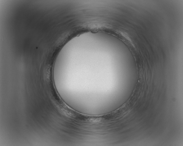 X0000073440495200607281035