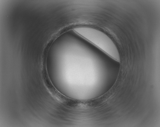 X0000073440496200607281035