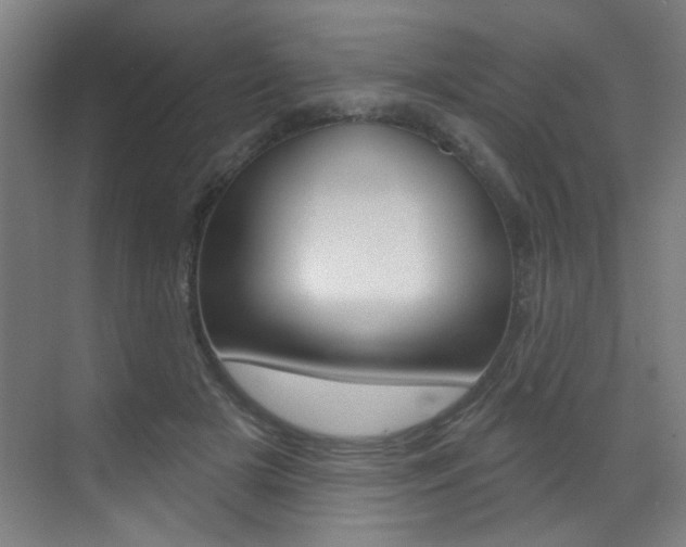X0000073440505200607281035
