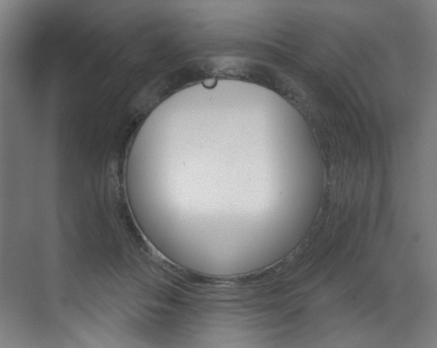 X0000073440506200607281035