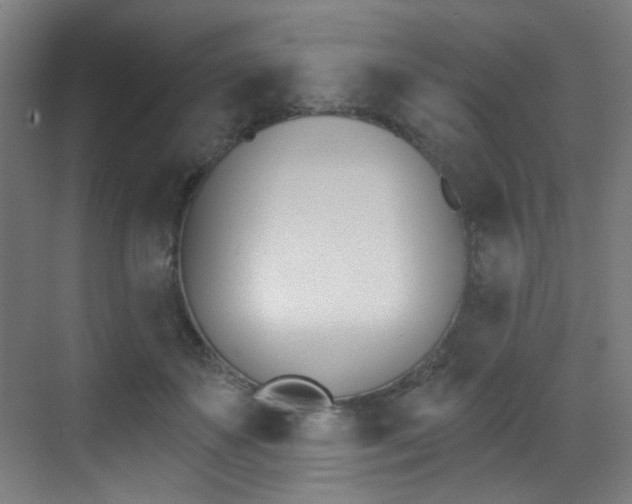 X0000073440507200607281035