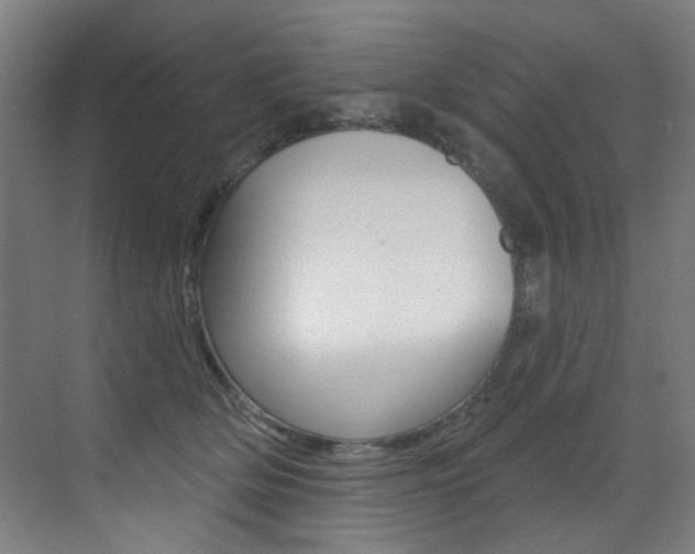 X0000073440514200607281034