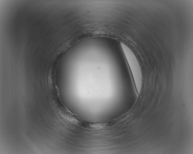X0000073440516200607281034