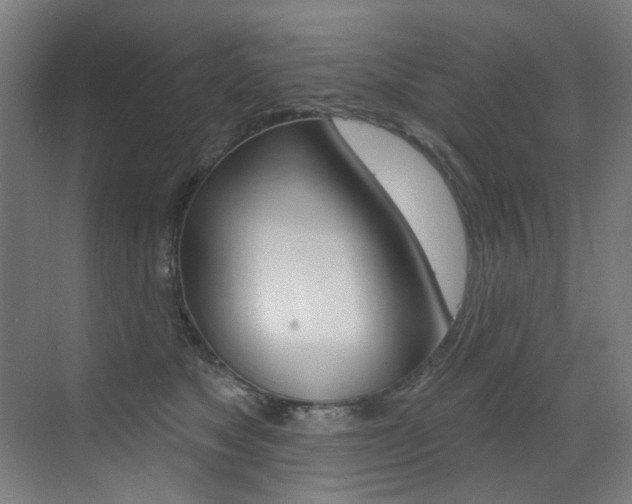 X0000073440517200607281034