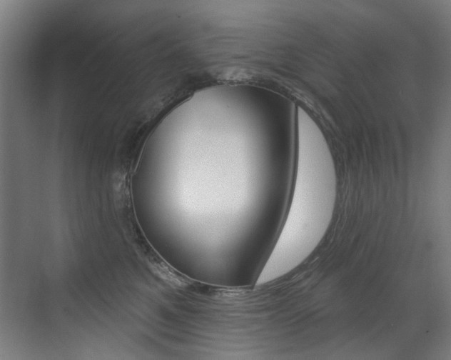 X0000073440521200607281034