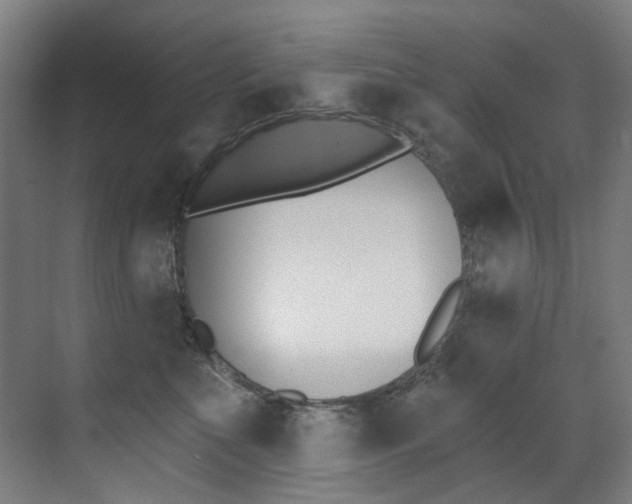 X0000073440523200607281034