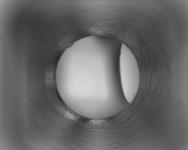 X0000073440526200607281034