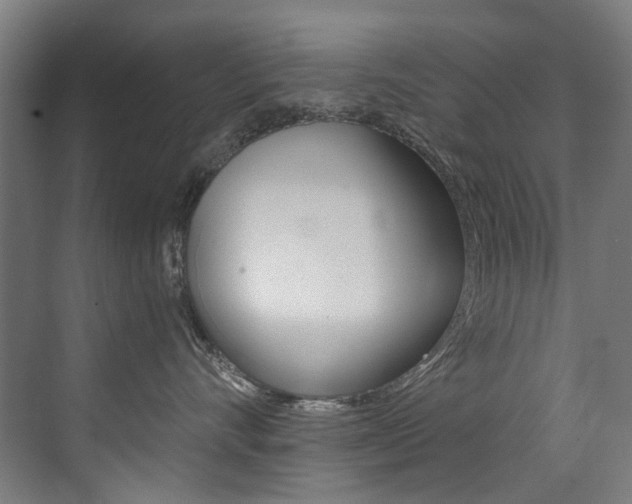X0000073440528200607281034