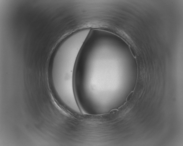 X0000073440530200607281033