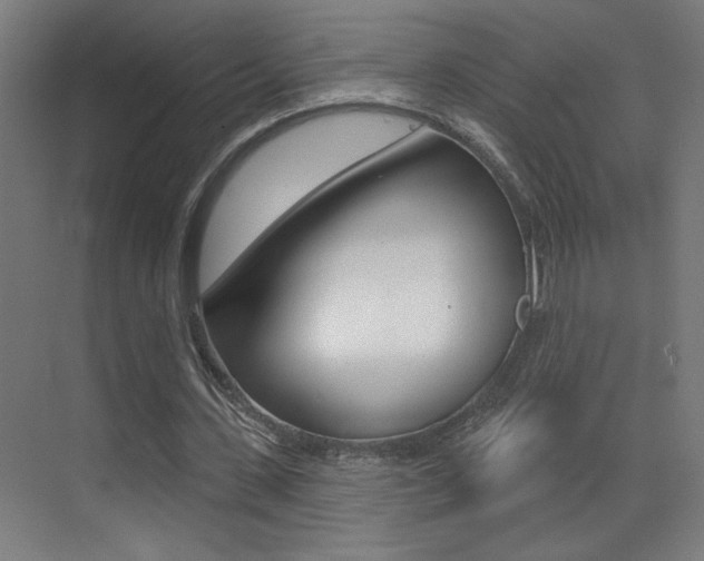 X0000073440531200607281033
