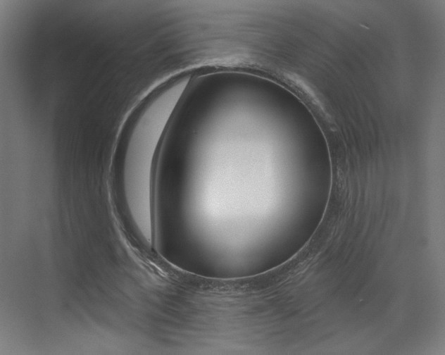 X0000073440532200607281033