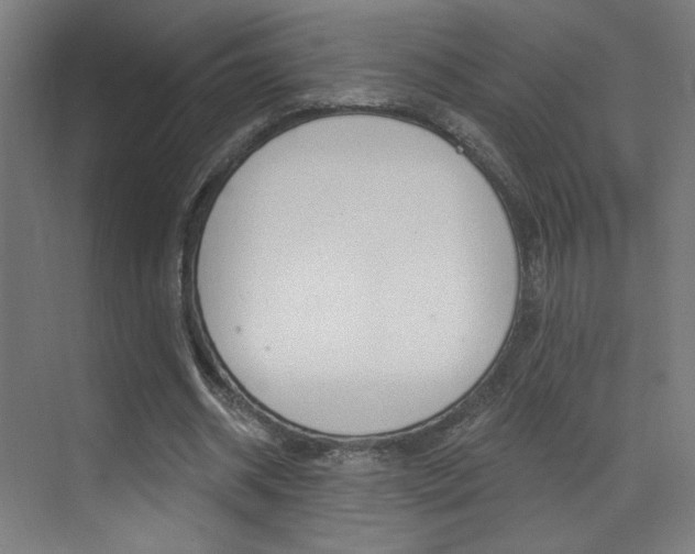 X0000073440534200607281033