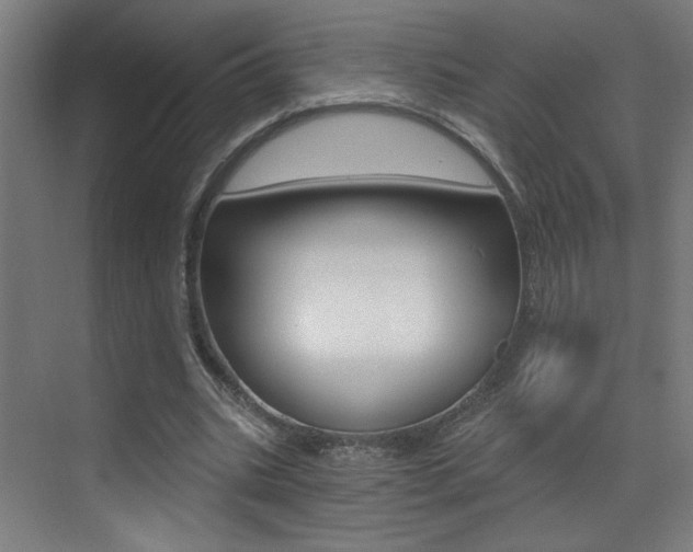 X0000073440535200607281033