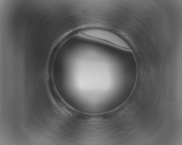 X0000073440536200607281034