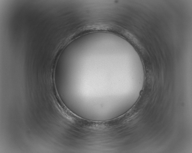X0000073440537200607281034