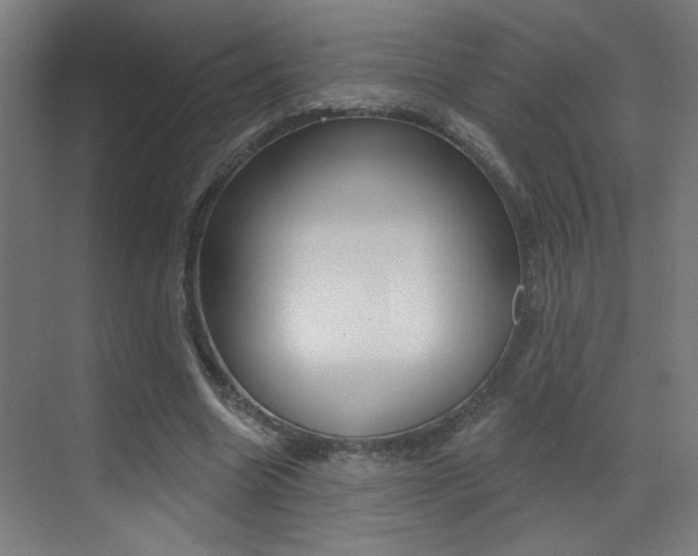 X0000073440538200607281034