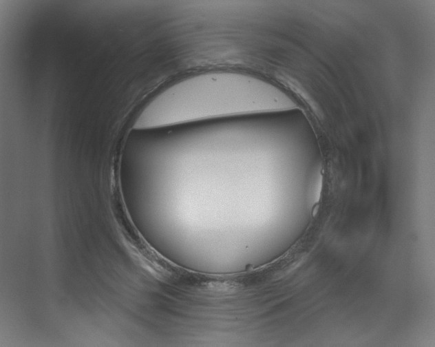 X0000073440541200607281034