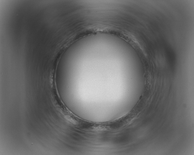X0000073440545200607281034