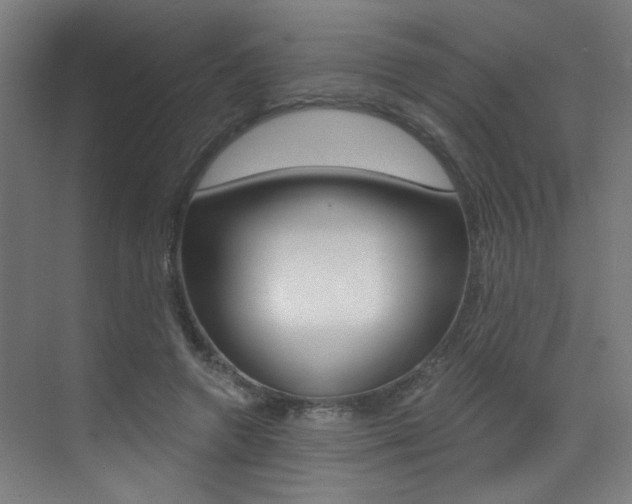 X0000073440546200607281034