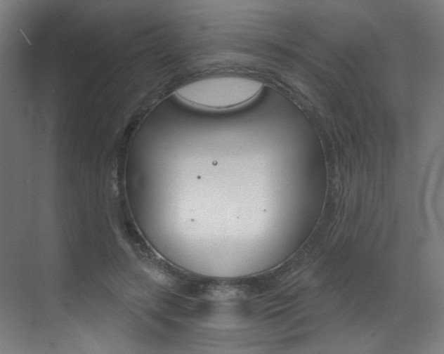 X0000073440547200607281034