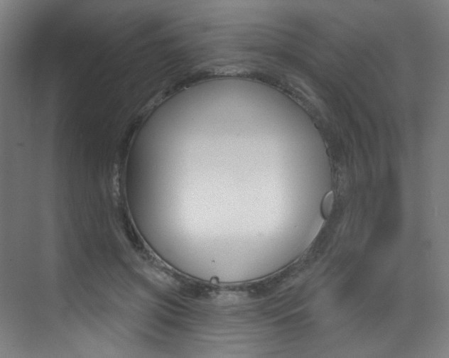 X0000073440549200607281034