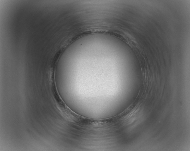X0000073440550200607281034
