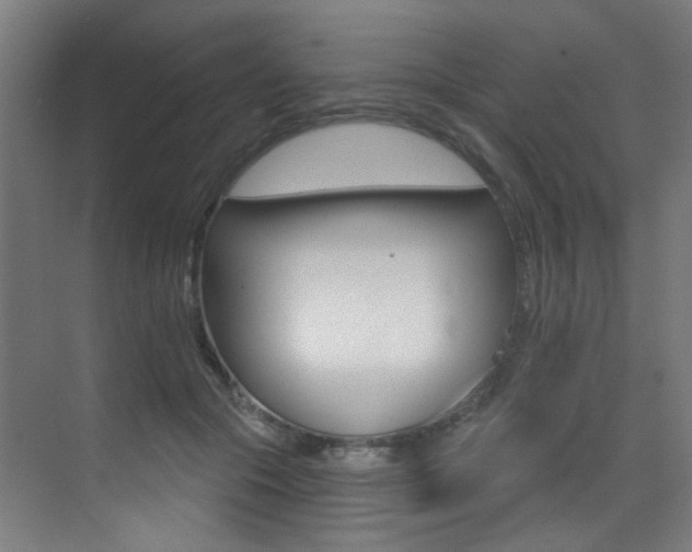 X0000073440553200607281034