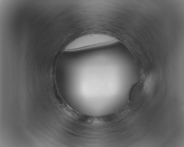 X0000073440559200607281034