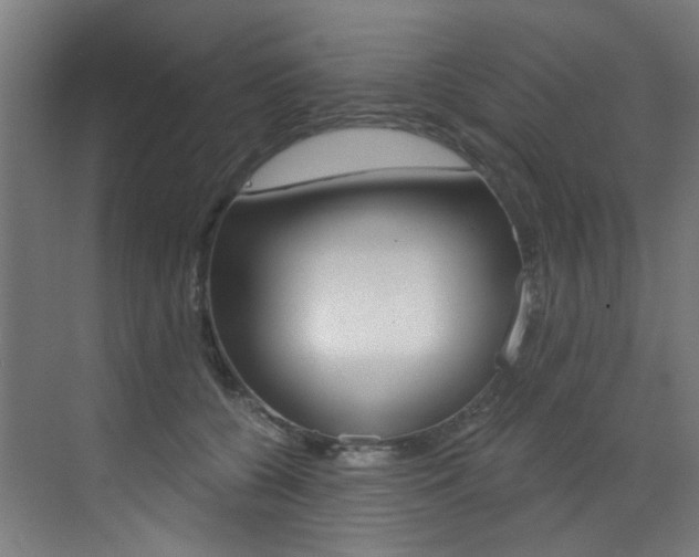 X0000073440560200607281034