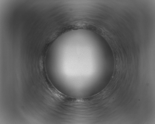 X0000073440562200607281034