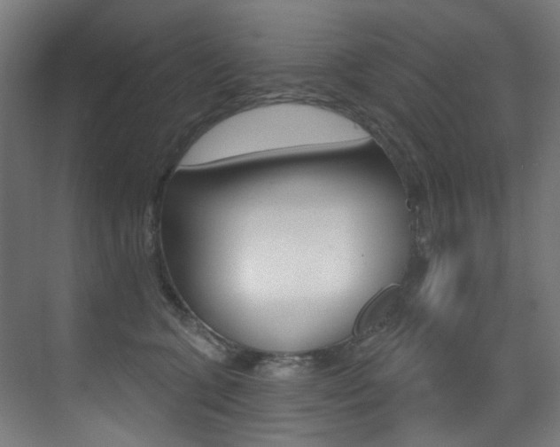 X0000073440563200607281034