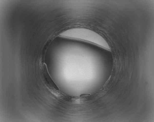 X0000073440564200607281034