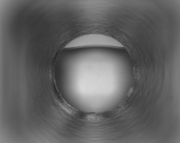 X0000073440568200607281034
