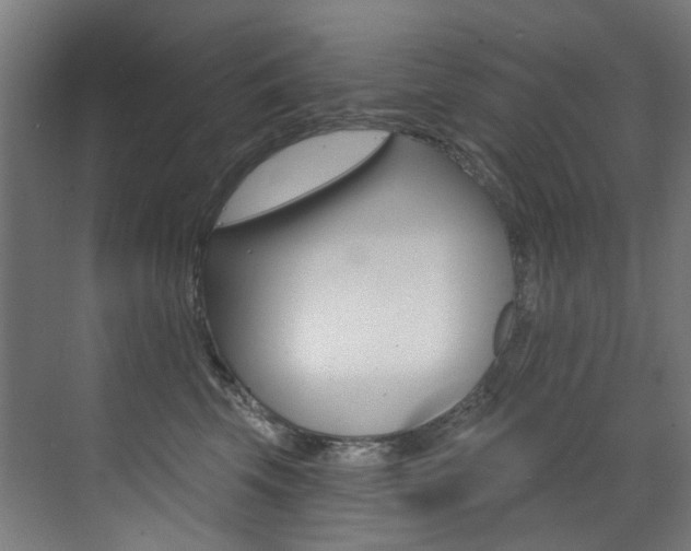 X0000073440569200607281034