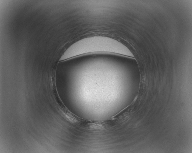 X0000073440572200607281034