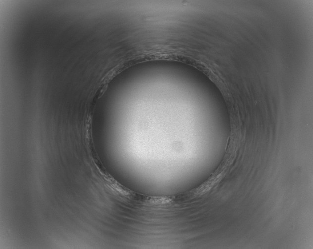 X0000073440576200607281034