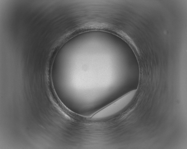 X0000073440581200607281033
