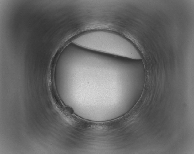 X0000073440582200607281033