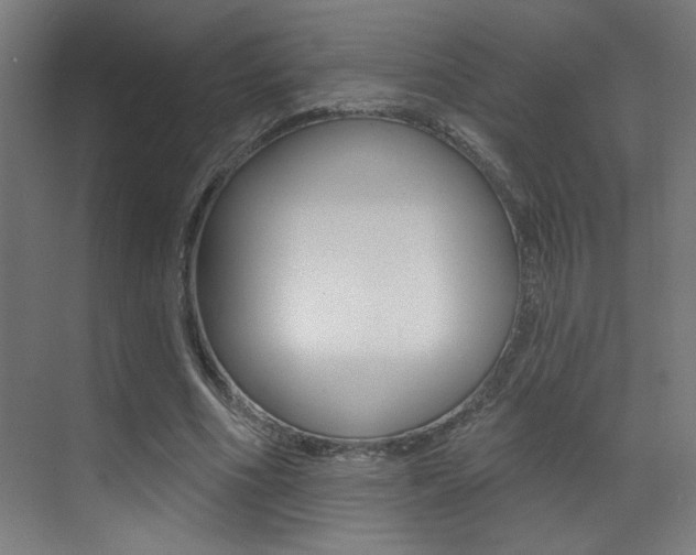 X0000073440586200607281033