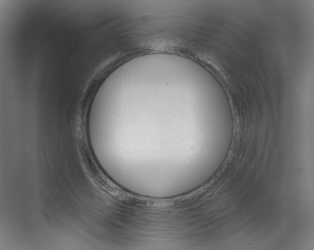 X0000073440587200607281033