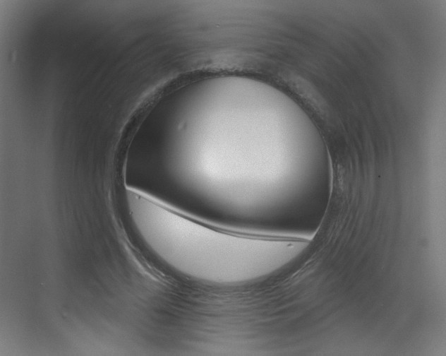 X0000073440588200607281033