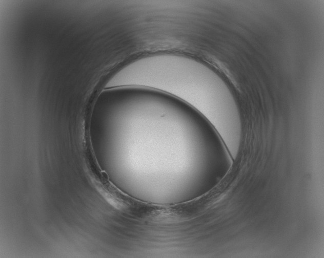 X0000073440589200607281033