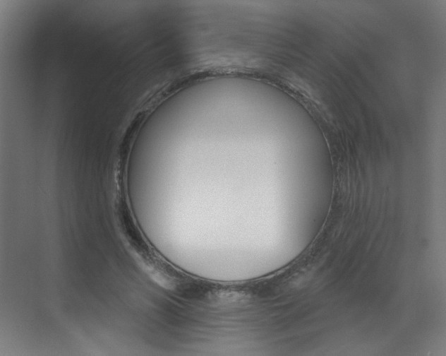 X0000073440590200607281033