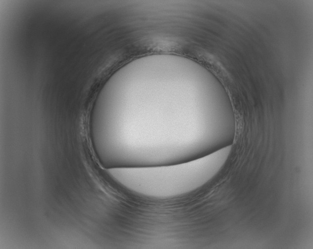 X0000073440591200607281033
